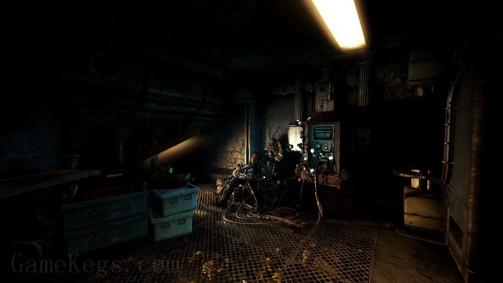 活体脑细胞.SOMA_3