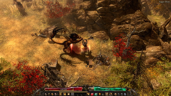 恐怖黎明：决定版.Grim Dawn Definitive Edition_4