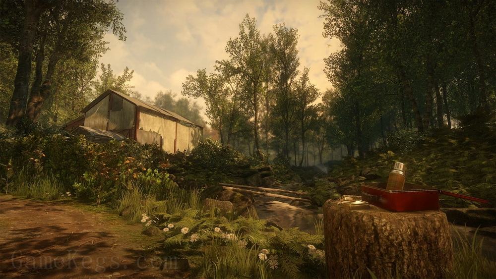 万众狂欢.Everybody’s Gone to the Rapture_3