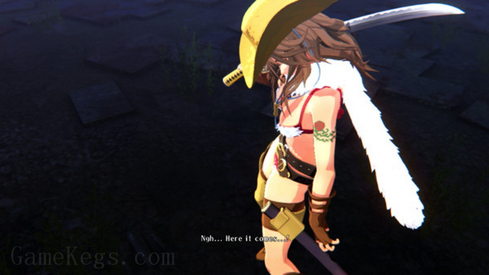 御姐玫瑰：起源.Onechanbara Origin_1