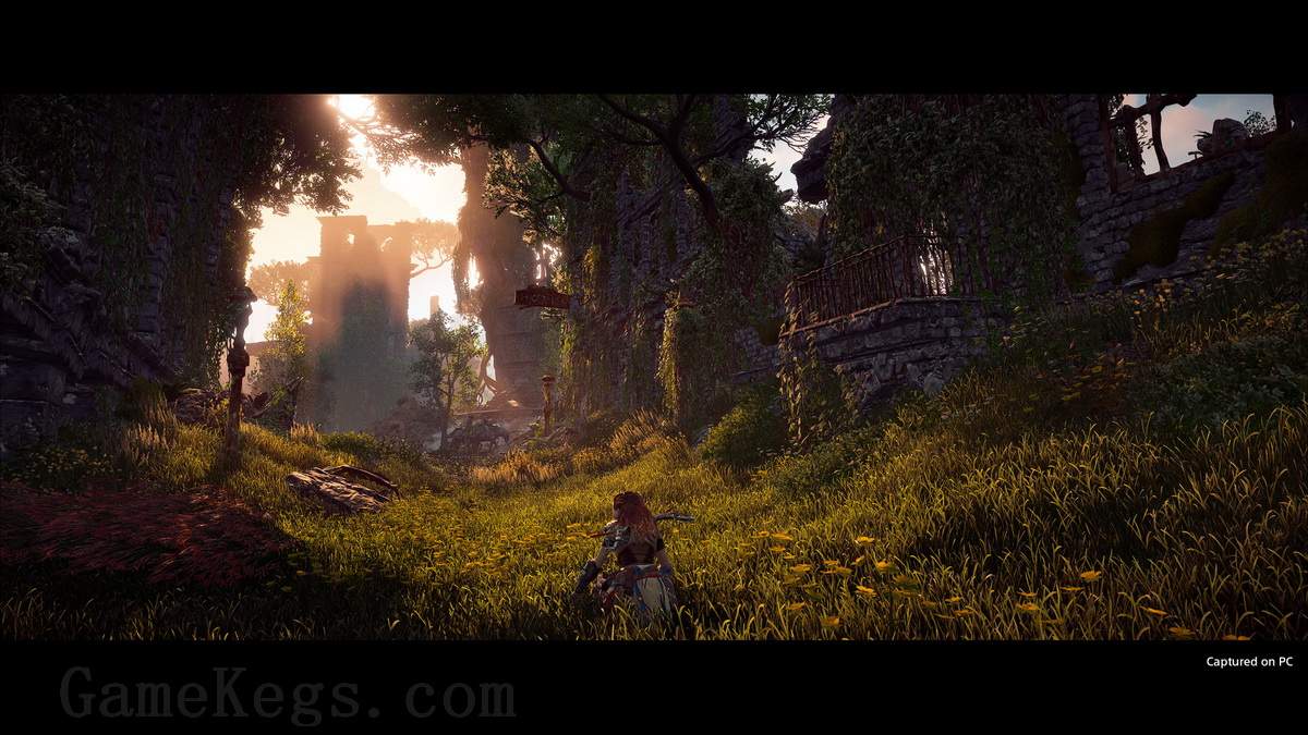 地平线：零之曙光 – 完全版.Horizon Zero Dawn Complete Edition_1