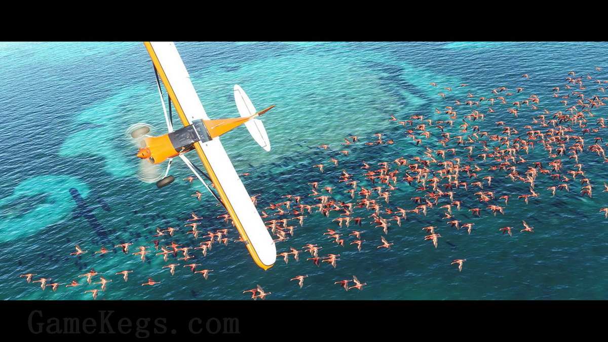 微软飞行模拟：40周年纪念版.Microsoft Flight Simulator 40th Anniversary Edition_4