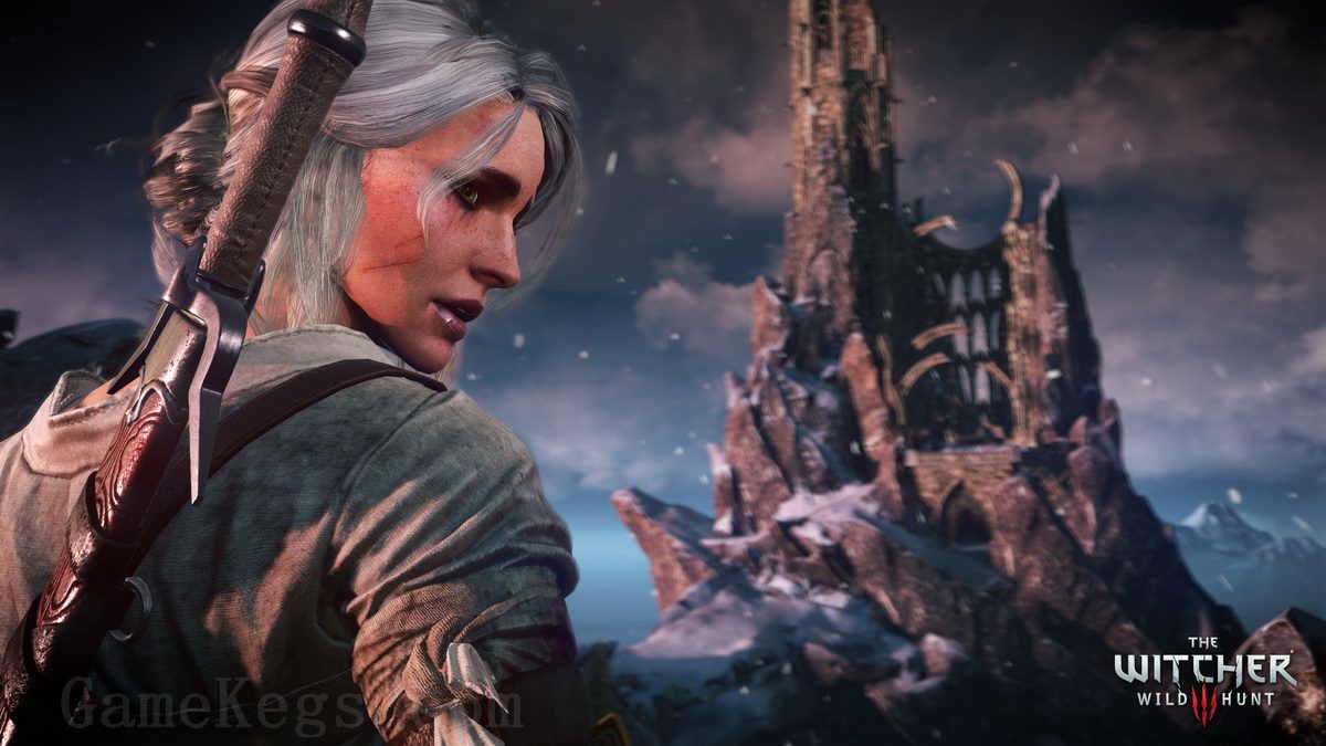 巫师3：狂猎 – 次世代版.The Witcher 3: Wild Hunt – Free Next-Gen Update_5