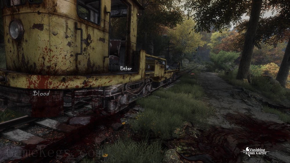 伊森卡特的消失.The Vanishing of Ethan Carter_1