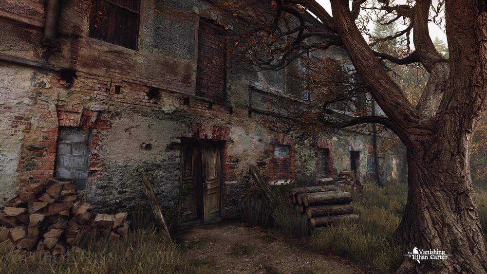 伊森卡特的消失.The Vanishing of Ethan Carter_2
