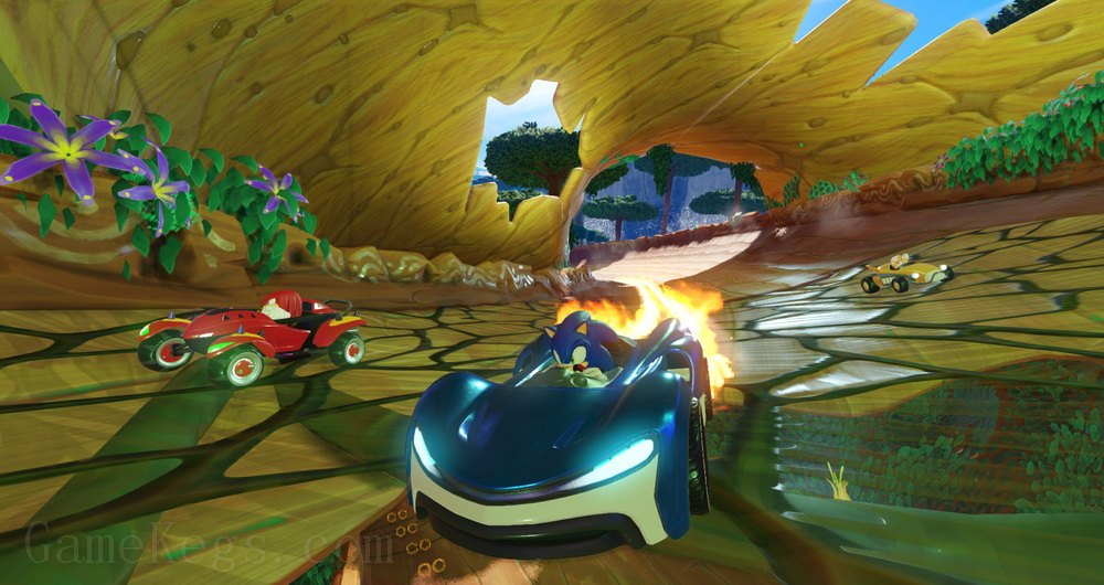 索尼克团队赛车PS4.Team Sonic Racing_3