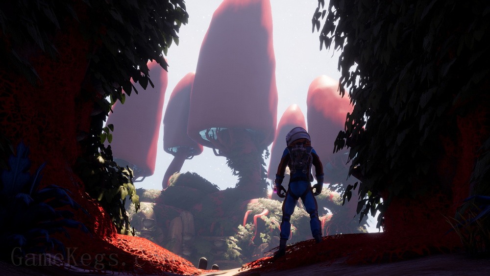 野蛮星球之旅.Journey to the Savage Planet_5