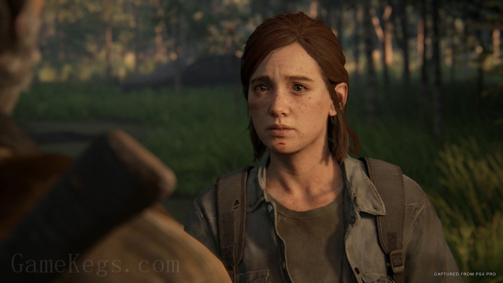 美国末日2.The Last of Us Part II_2