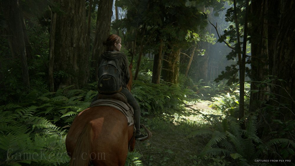 美国末日2.The Last of Us Part II_5