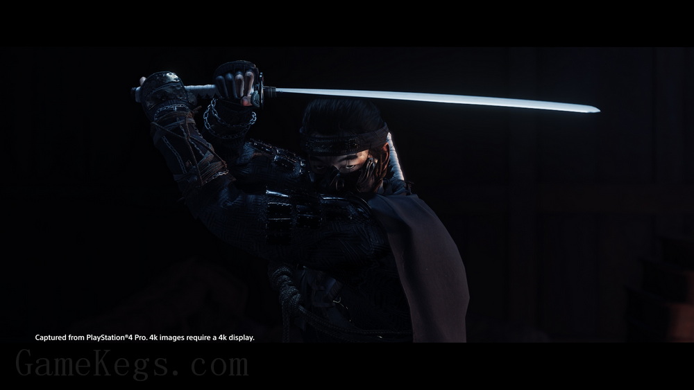 对马岛之魂：导演剪辑版.Ghost of Tsushima: Director’s Cut_2