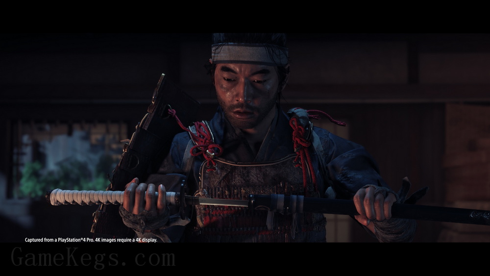 对马岛之魂：导演剪辑版.Ghost of Tsushima: Director’s Cut_3