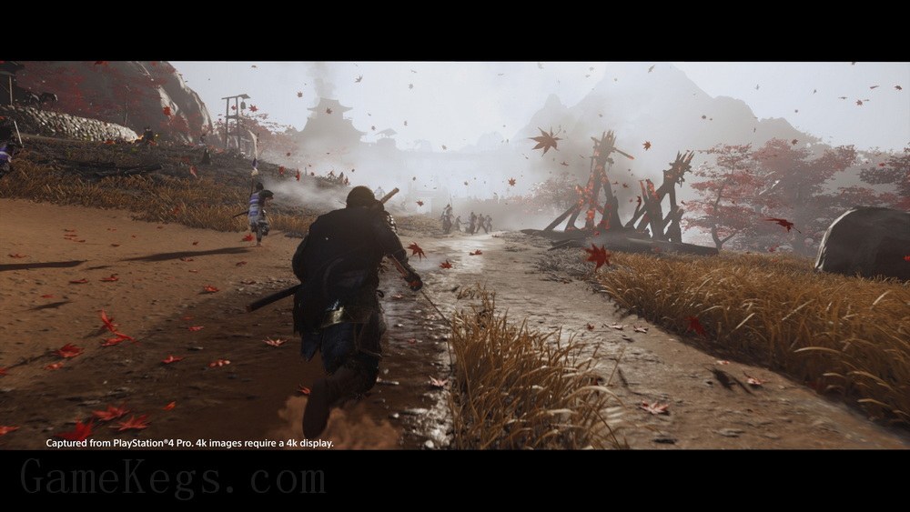 对马岛之魂：导演剪辑版.Ghost of Tsushima: Director’s Cut_4