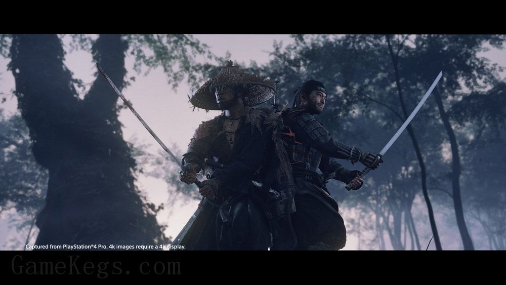 对马岛之魂：导演剪辑版.Ghost of Tsushima: Director’s Cut_5