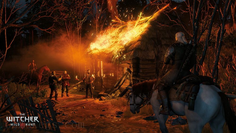 巫师3：狂猎 – 年度版.The Witcher 3 Game of the Year Edition_1