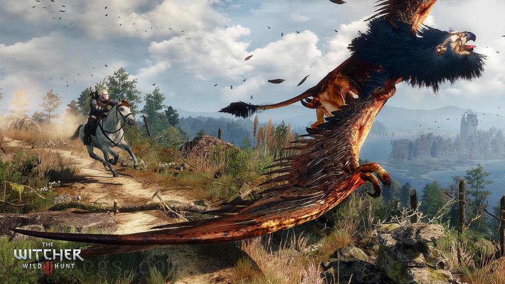 巫师3：狂猎 – 年度版.The Witcher 3 Game of the Year Edition_4