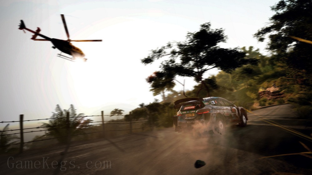 国际汽车联盟世界拉力锦标赛9.WRC 9 FIA World Rally Championship_5
