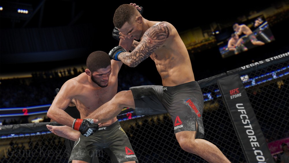 EA UFC 终极格斗冠军赛4.EA Sports UFC 4_0