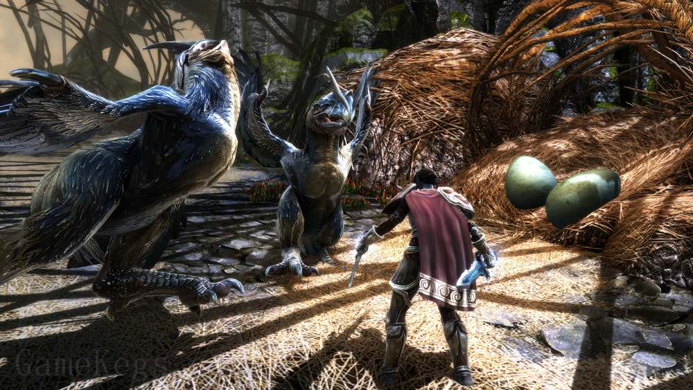 阿玛拉王国：惩罚 – 命运版.Kingdoms of Amalur: Re-Reckoning FATE Edition_2