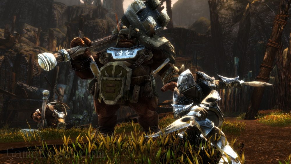 阿玛拉王国：惩罚 – 命运版.Kingdoms of Amalur: Re-Reckoning FATE Edition_5