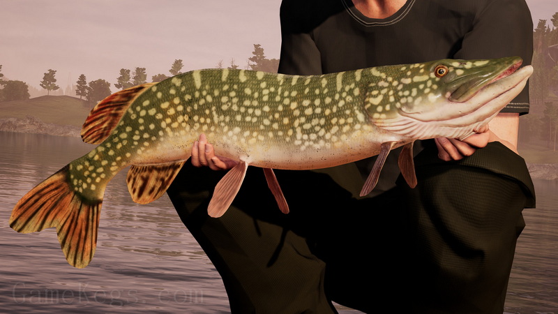 钓鱼模拟世界.Fishing Sim World_4