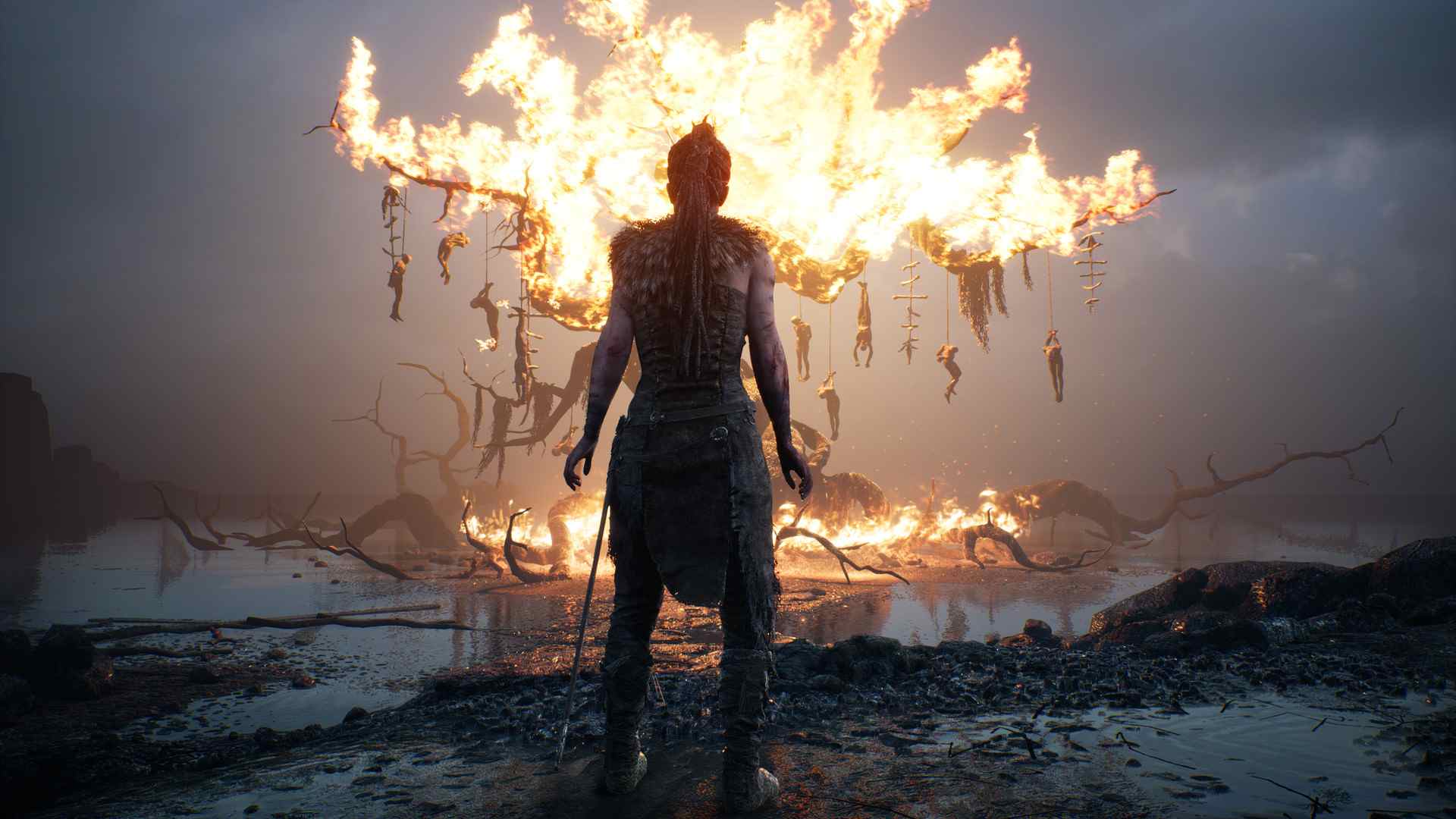 地狱之刃：塞娜的献祭.Hellblade: Senua’s Sacrifice_1