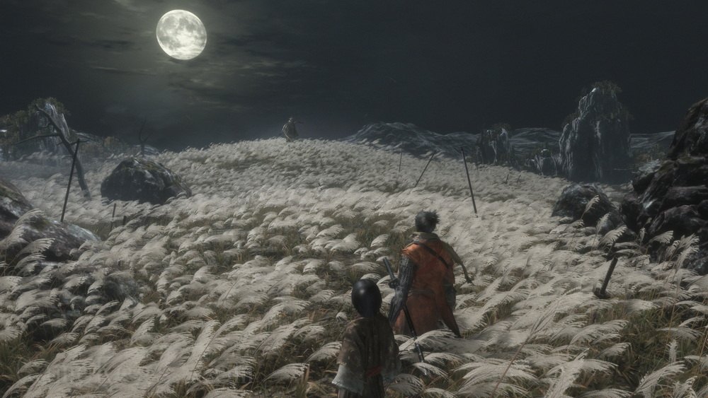 只狼：影逝二度.Sekiro：Shadows Die Twice_5