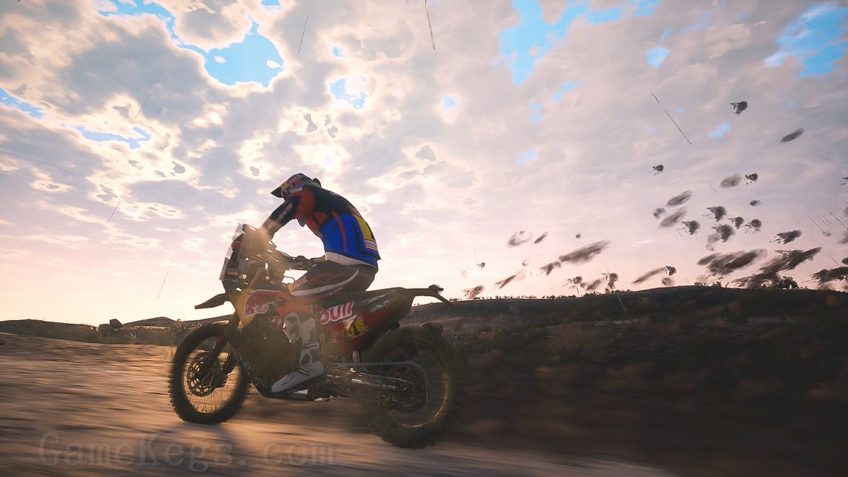 达喀尔18.Dakar 18_2