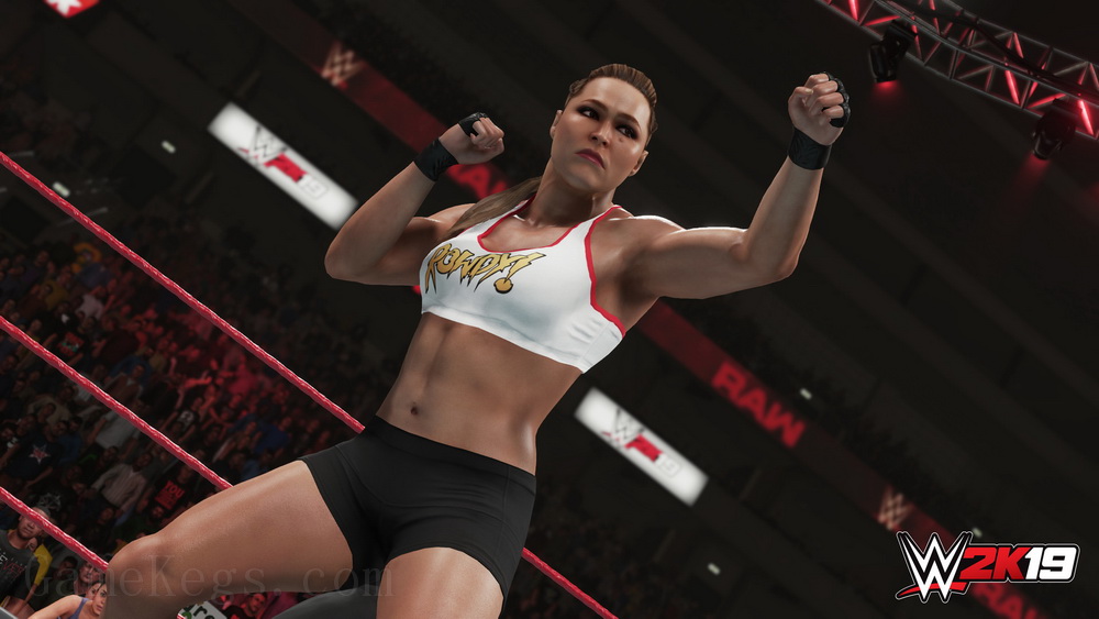 美国职业摔角联盟 2K19.WWE 2K19_5