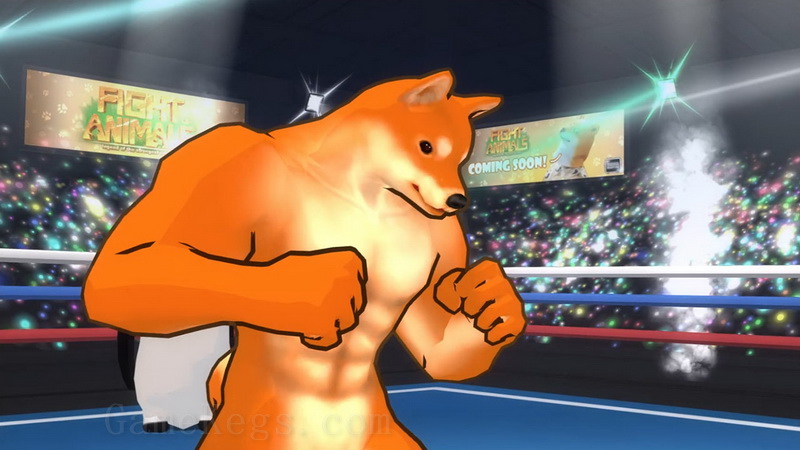动物之斗.Fight of Animals_1