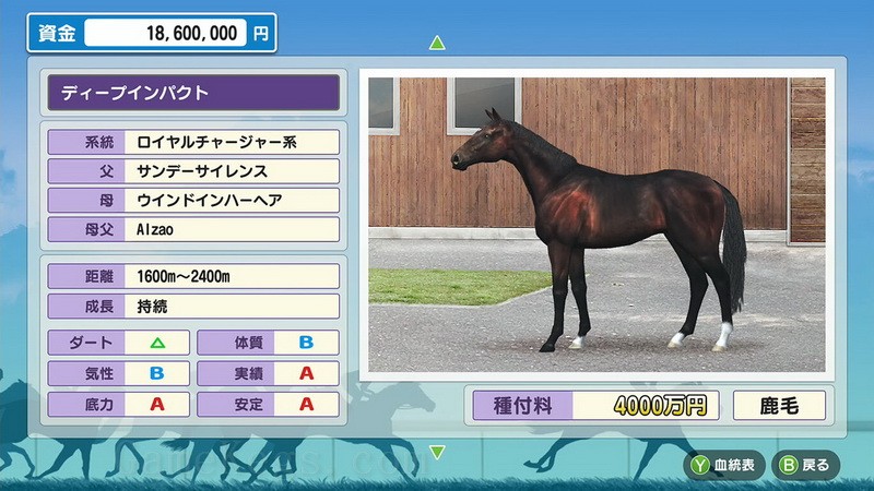 德贝赛马.Derby Stallion_2