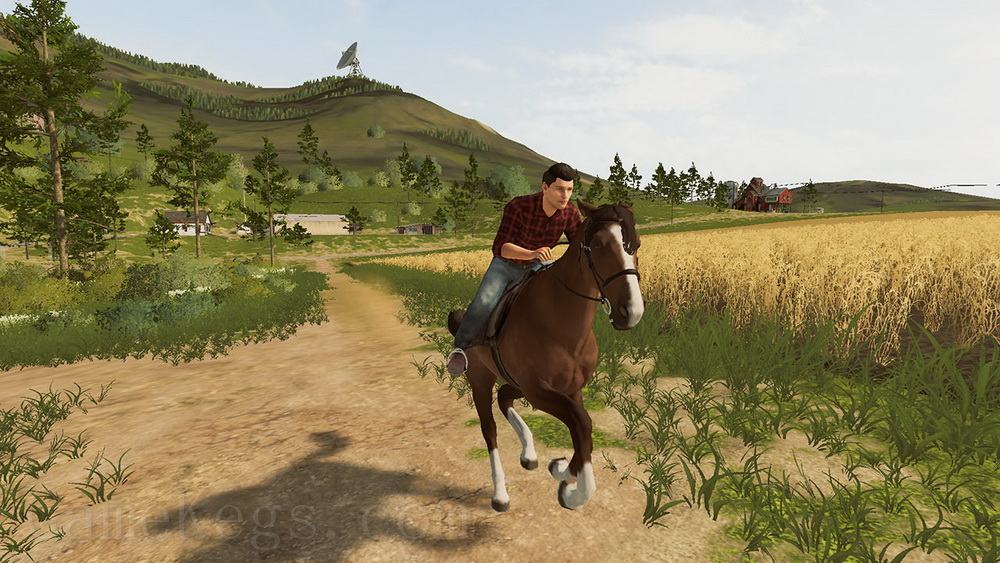 模拟农场2020.Farming Simulator 20_4