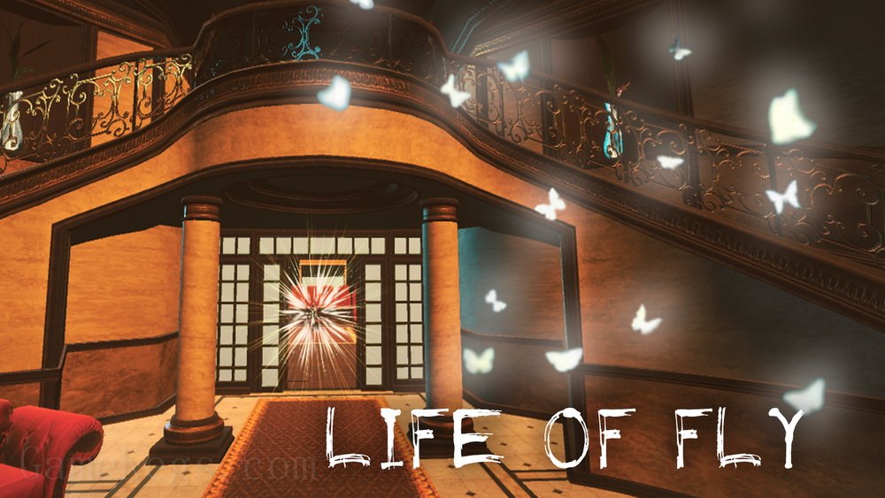 蝇的生活.Life of Fly_0