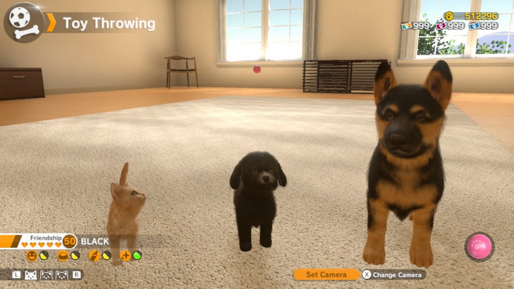 小小伙伴：狗狗&猫猫.Little Friends Dogs & Cats Trailer_4