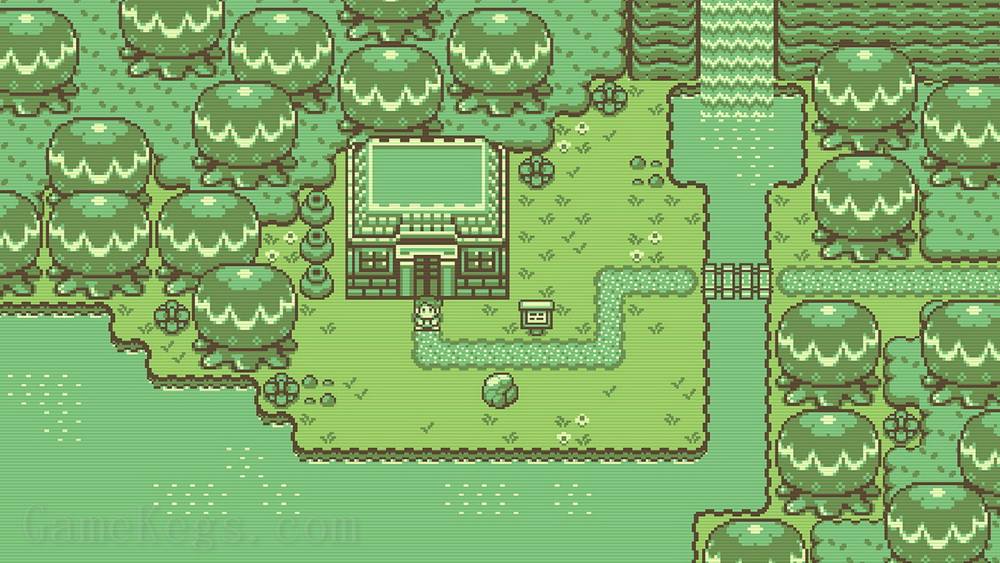 蒂莫西和神秘的森林.Timothy and the Mysterious Forest_1