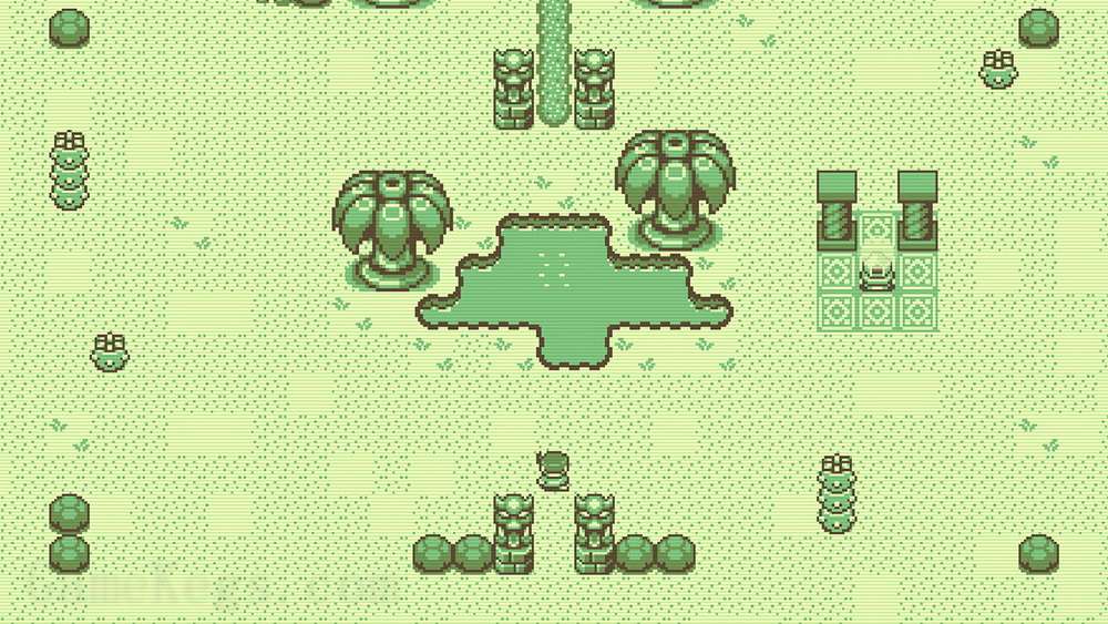 蒂莫西和神秘的森林.Timothy and the Mysterious Forest_2