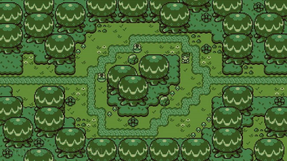 蒂莫西和神秘的森林.Timothy and the Mysterious Forest_3