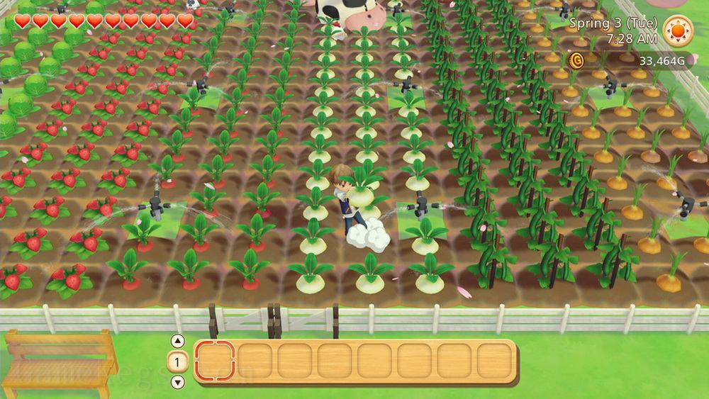 牧场物语：橄榄镇与希望的大地.Story of Seasons: Pioneers of Olive Town_3