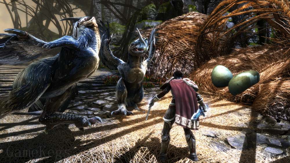 阿玛拉王国：惩罚.Kingdoms of Amalur: Re-Reckoning_1